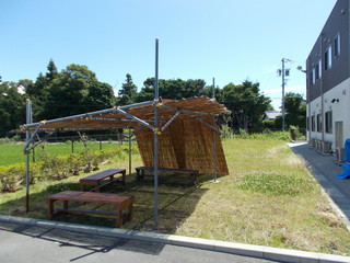 DSCN1584.JPG