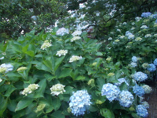 DSCN4226.JPG