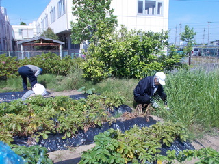 DSCN6470.JPG