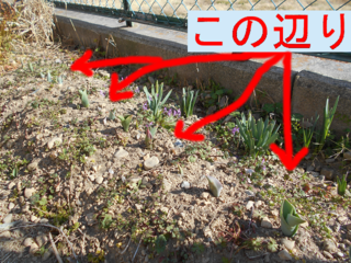 2018-02-23_007blog.png