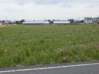 CIMG1767.JPG